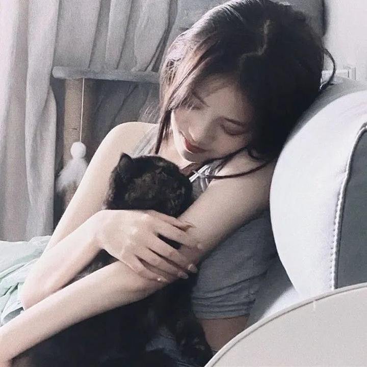哈瓦那特派员