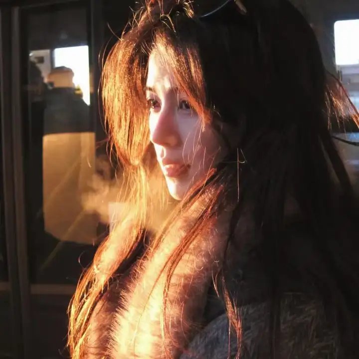阿莱蒂公主